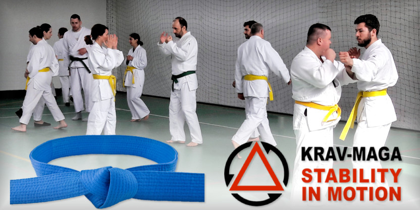 Curs de Weekend Centura Albastră 2024-2025