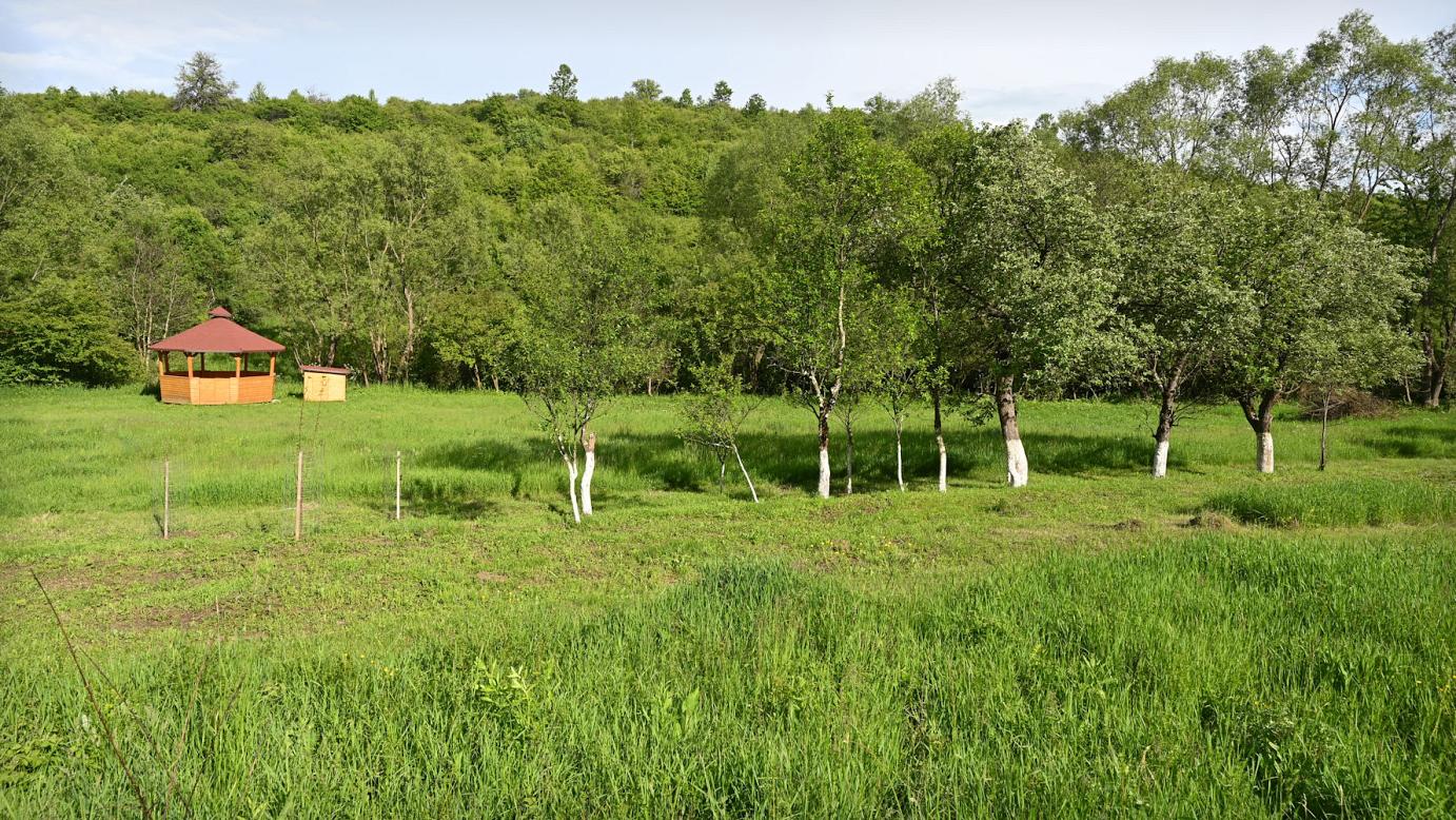 Tabără Krav-Maga în Natură: Încredere și Siguranță – IULIE 2026